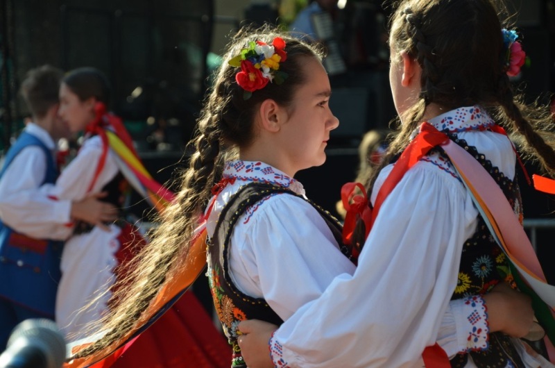 DSC_0195-Sredni